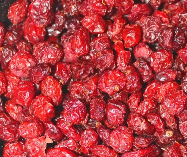 Arandano rojo